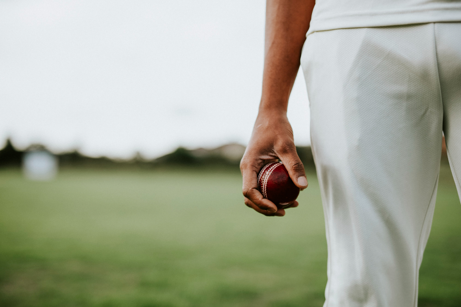 CRICKET